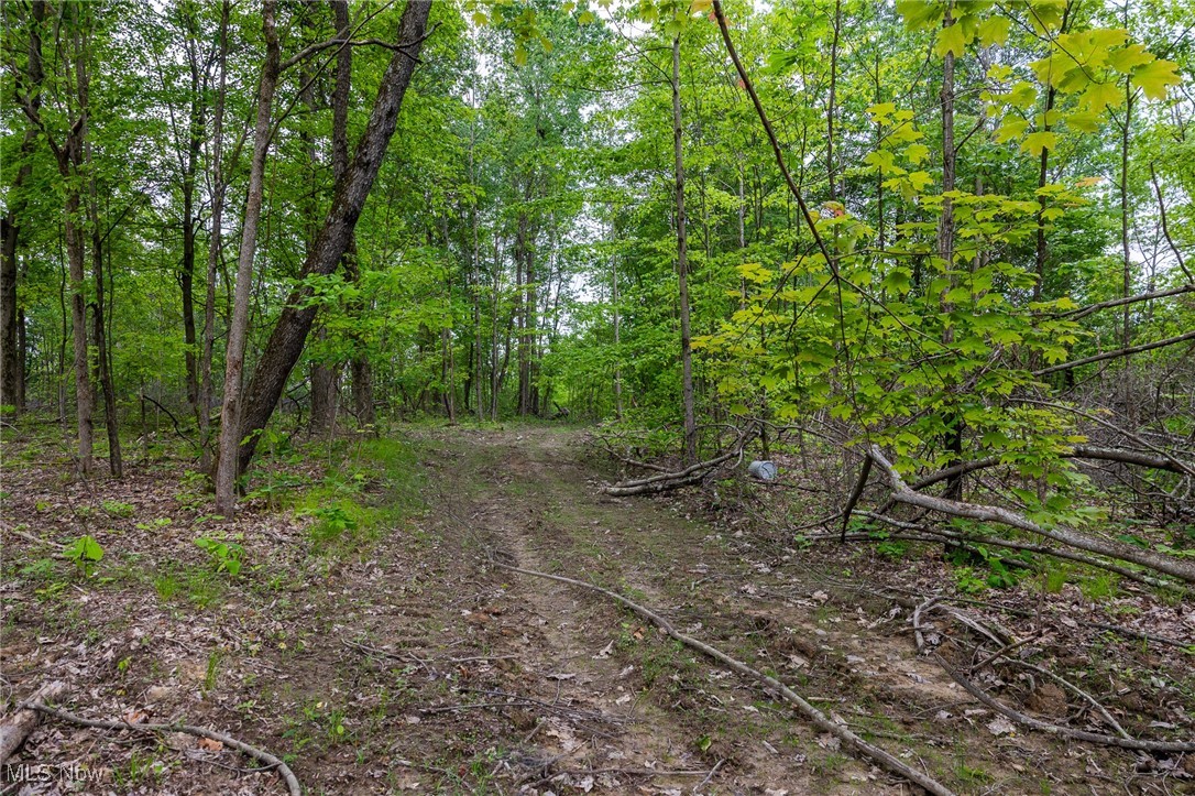 Epler Road, Lowell, Ohio image 27