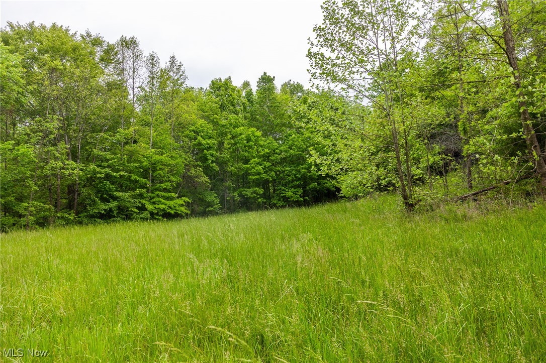 Epler Road, Lowell, Ohio image 31