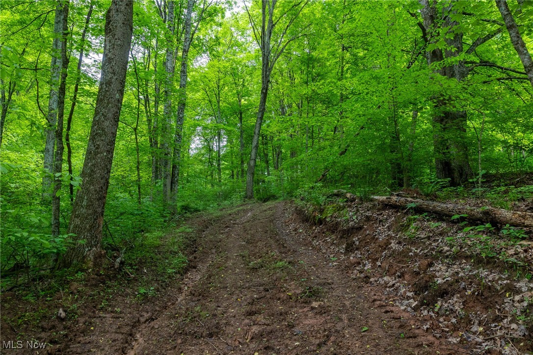Epler Road, Lowell, Ohio image 10