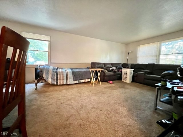 Euclid 07 - Residential Income