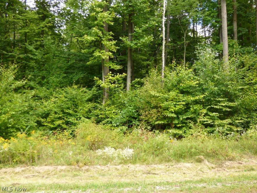 3.35 Acre wooded lot in Frostwood Farms Subdivision.  Build when you want with your own builder.  2,300 s.f. minimum.  2 other lots available at this price.  Don't wait!