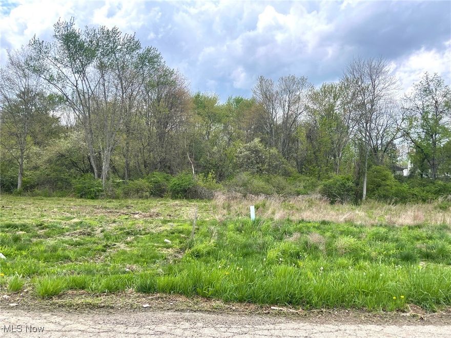 This buildable .57 acre partially wood lot is on a dead end street and is located in the Perry Local School District. Lot is level and has 65' of frontage and is 383' deep. Public water and public sewer. Directions: Erie St. to east on Forest Ave. SE. to south on Candell St. SE.