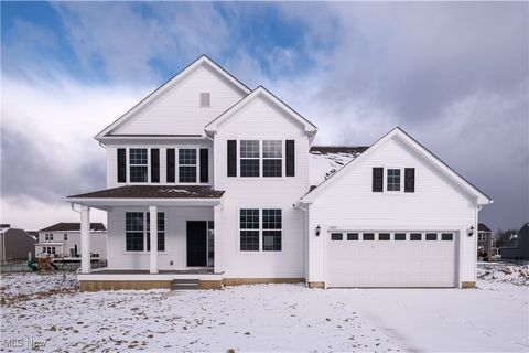 Homes For Sale - 11055 David's Court<br/> Columbia Station, OH 44028