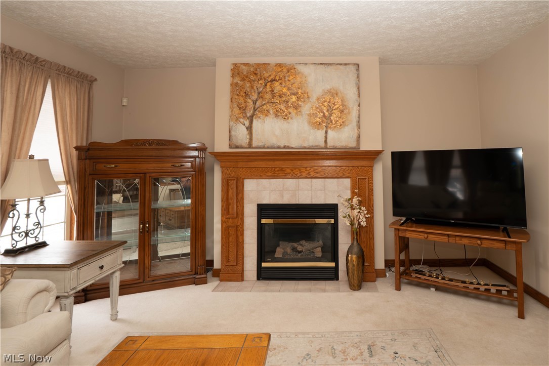 Burnham Hills 01 - Residential