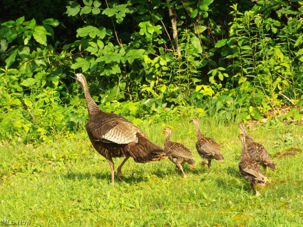 Hawthorne Acres - Residential