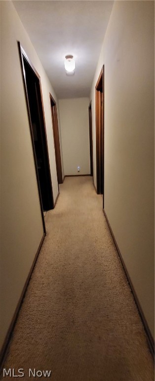 Dogwood Estates 10 - Residential