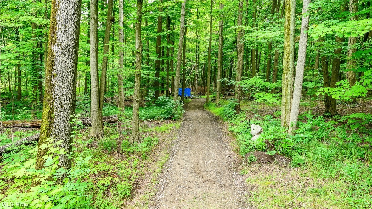 Mantua - Residential