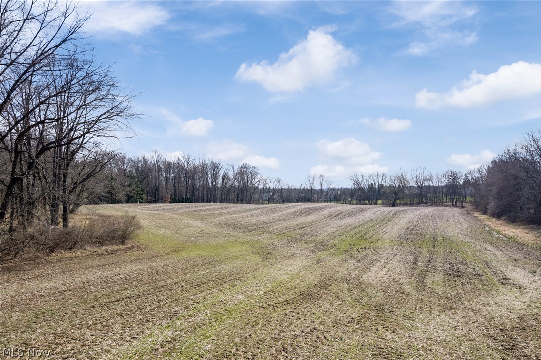 Green Sec 11 - Residential