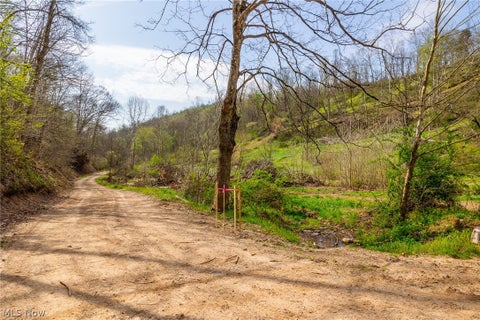 Vacant Land For Sale - Twp Rd 63 Deans Fork Rd #4<br/> Whipple, OH 45788