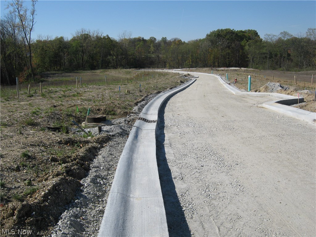 The Enclave at Old Mill Pond - Residential