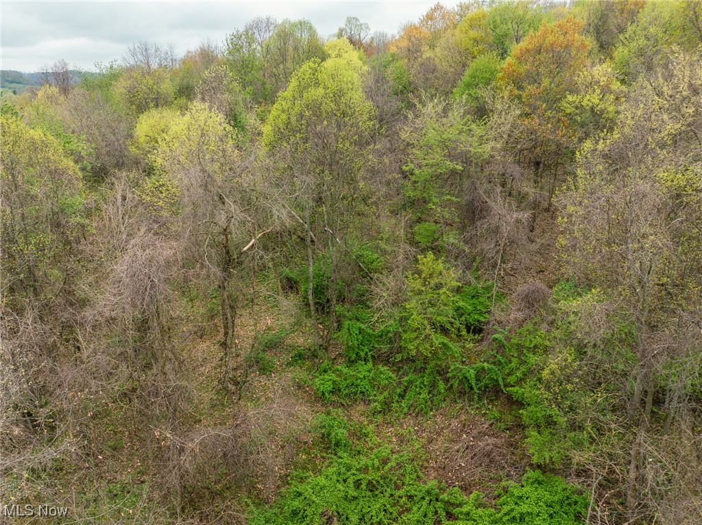 Bair Road, Dover, Ohio image 13