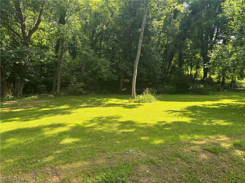 Bacon Tct Of Sub - Land