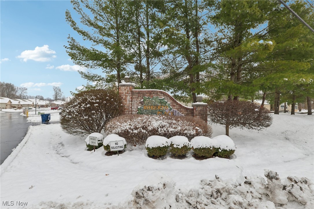 Roberto Place Condo - Residential