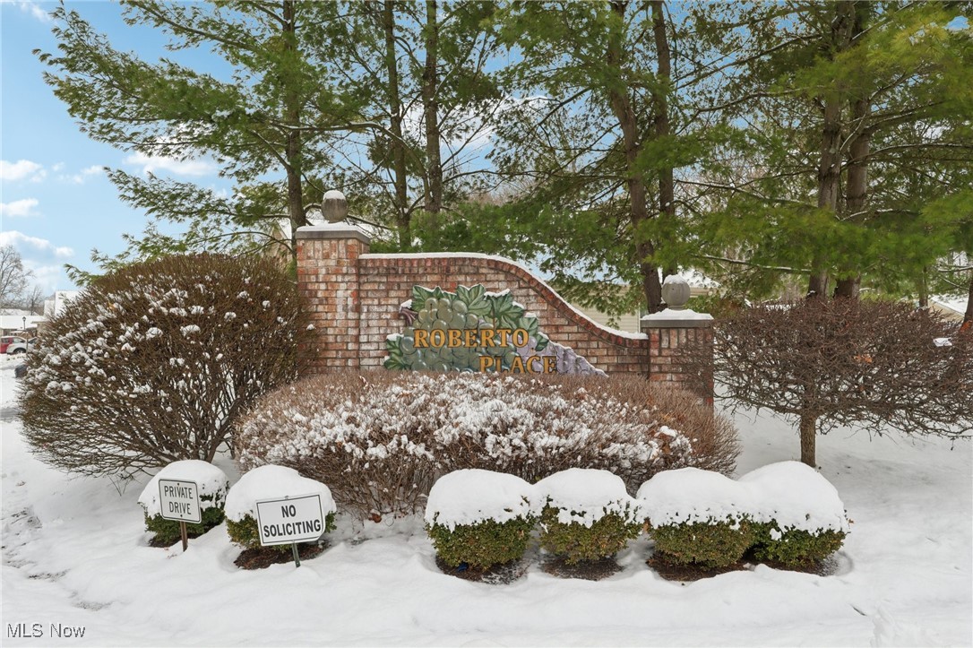 Roberto Place Condo - Residential