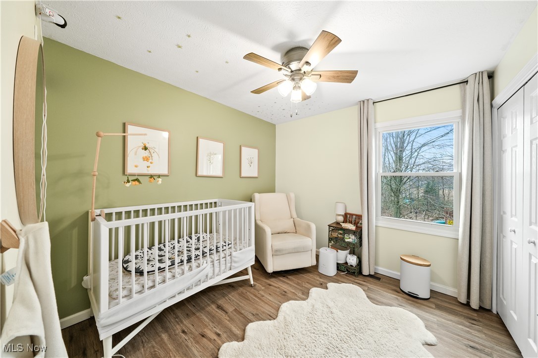 869 Silverberry Lane, Hudson, Ohio image 29