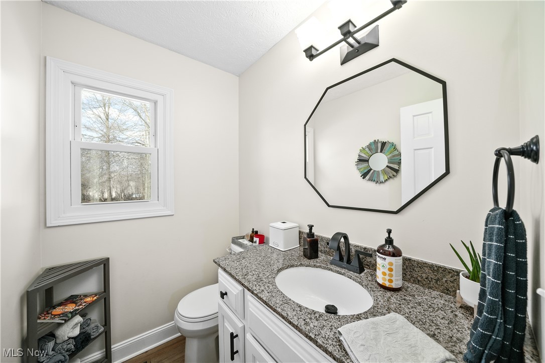869 Silverberry Lane, Hudson, Ohio image 12
