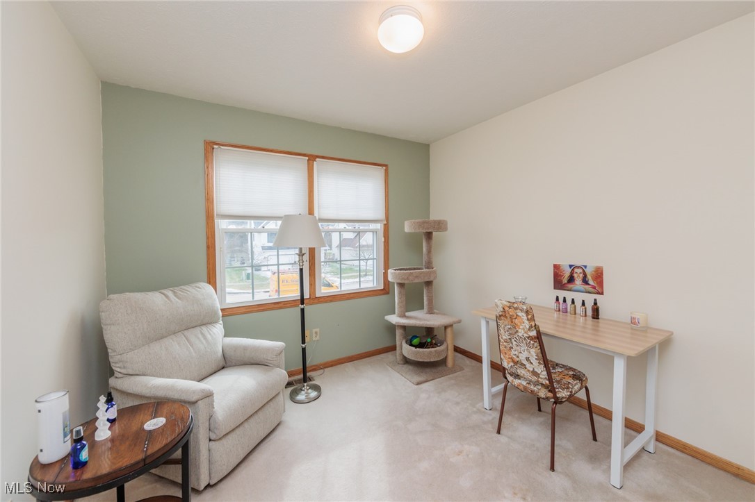 1430 Loriann Drive, Berea, Ohio image 31