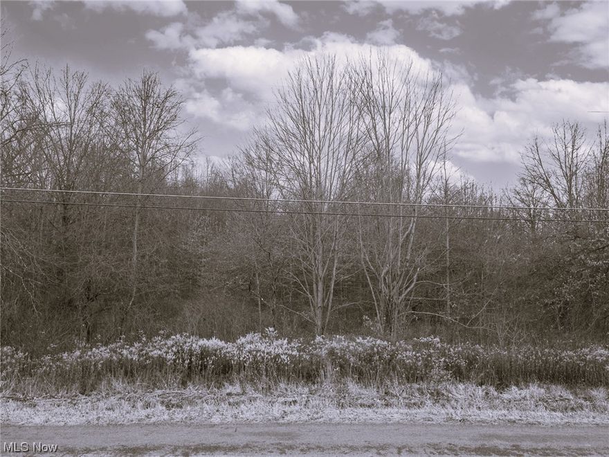 Centrally located between Lake Milton, Berlin Lake, and West Branch State Park, this is the land you've been searching for!  Featuring over 300' of frontage, this wooded lot is perfect to build your dream home in a gorgeous, private setting.  12 acres of tranquility, but also very close to a major highway, offering both serenity and convenience.  Build a home and buy the land in one easy closing with a 5-20% down new construction loan!  Come see this beautiful location today!