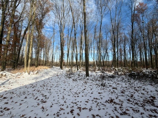 Township/Champion Sec 63 - Land