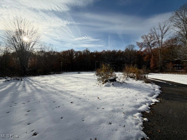 Township/Champion Sec 63 - Land