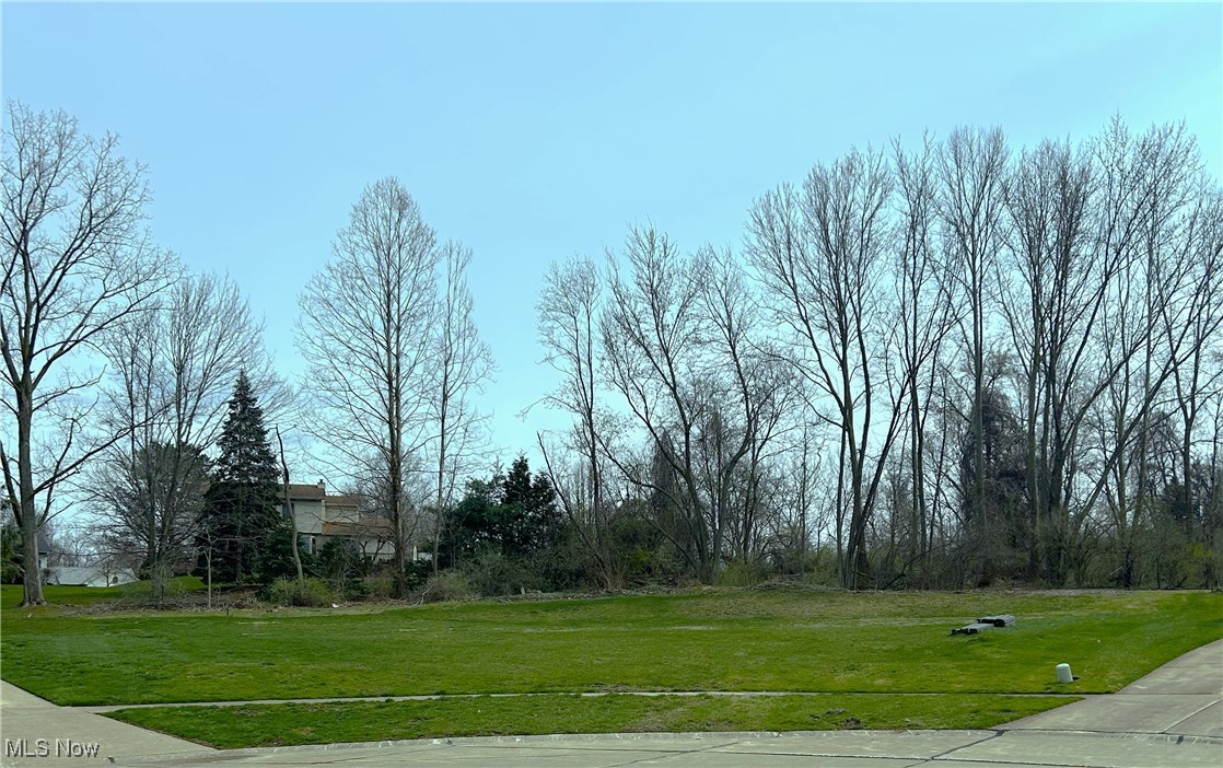Vl Wayside Drive, Mentor, Ohio image 3