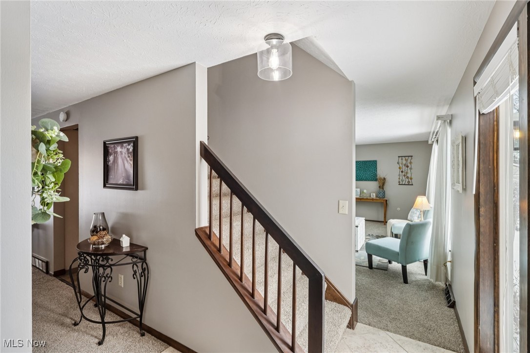 The Pines Sub - Residential