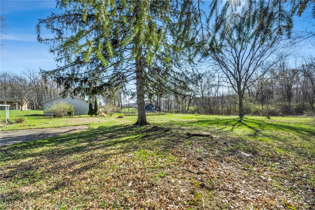 13872 Allison Drive, Doylestown, Ohio image 24