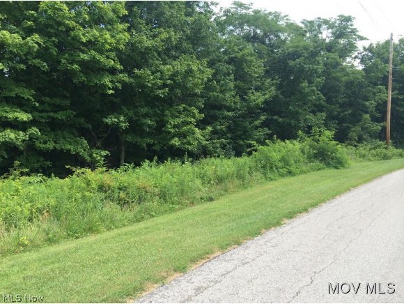 Wooded lot with plenty of road frontage. Two potential building sites available. Utilities available. Elem: Putnam Elementary School Elem/Bus: Y JrHigh: Marietta Middle School School JrHigh/Bus: Y High: Marietta High School High/Bus: Y Fire: VOL Police: SHF PossFreeGas: N