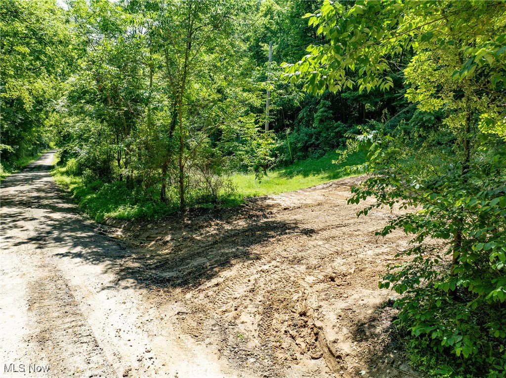 19 acres Saffell Road