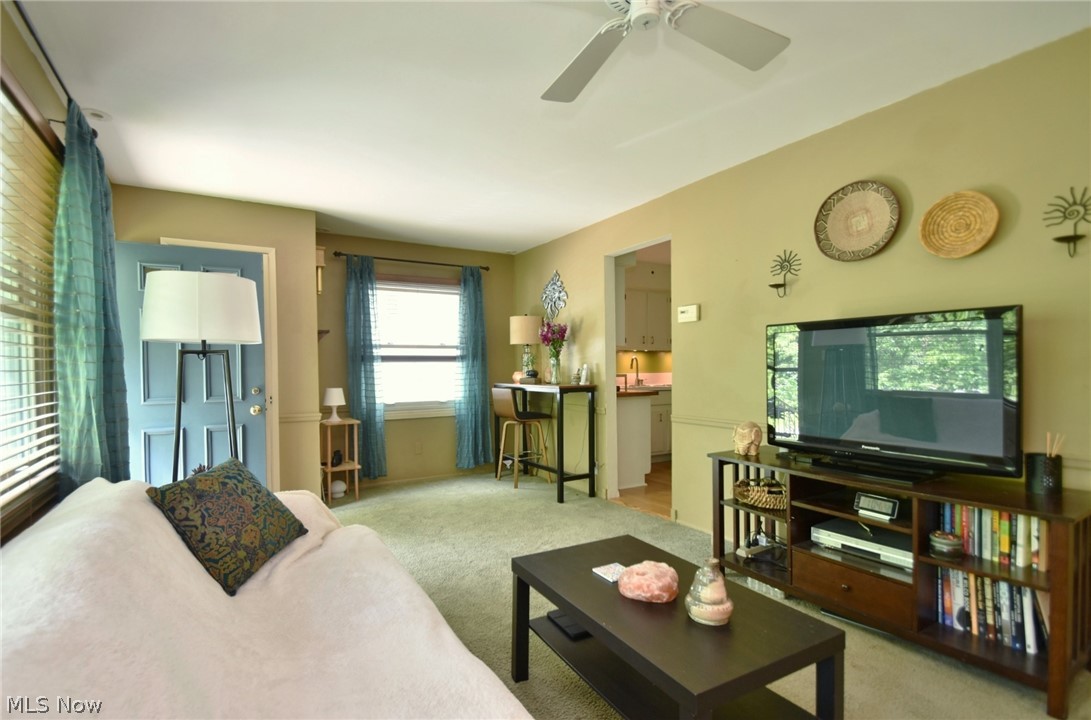 Shady Lane - Residential