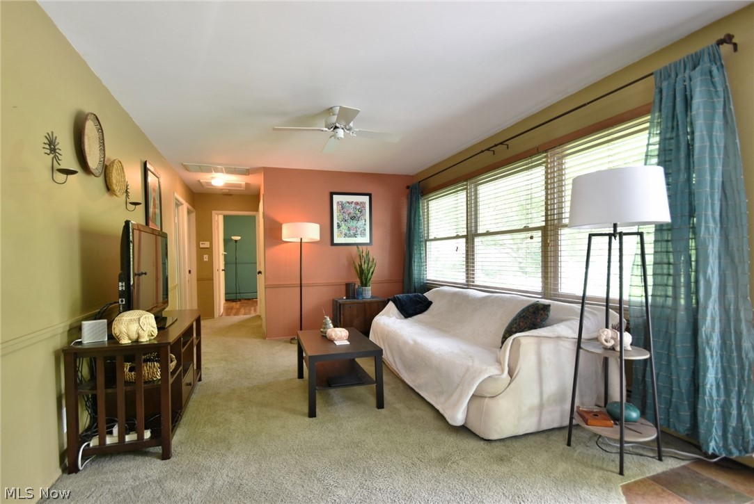 Shady Lane - Residential