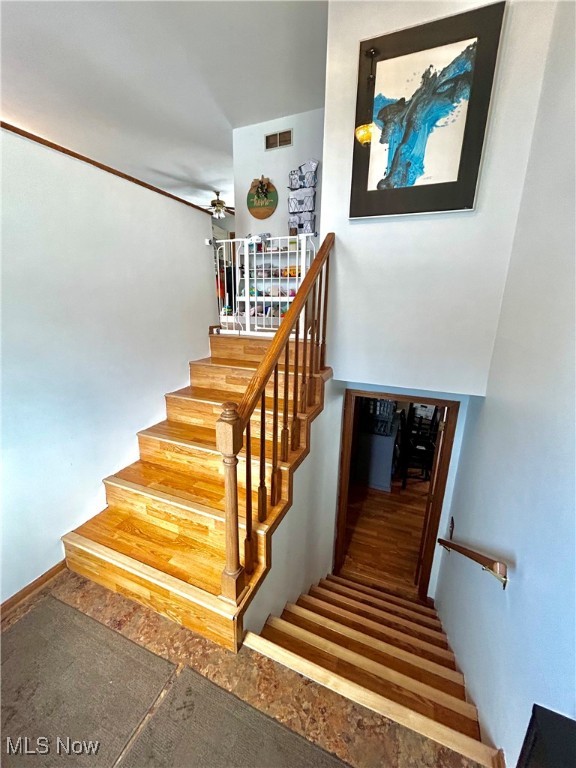 110 Shady Lane, Marietta, Ohio image 11
