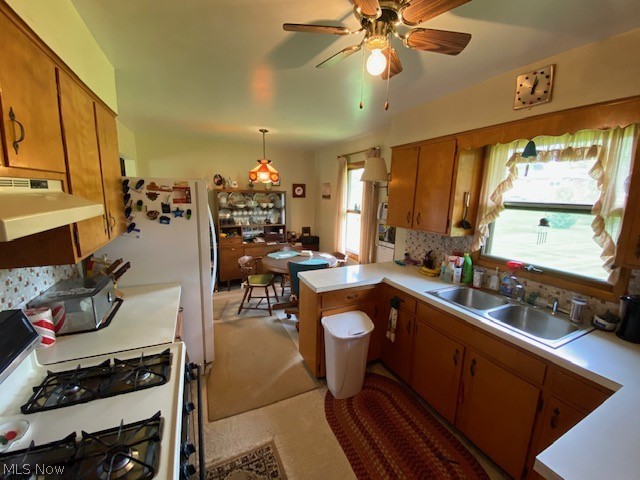 Shrine Village - Residential