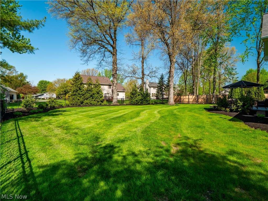 Red Tail - Residential