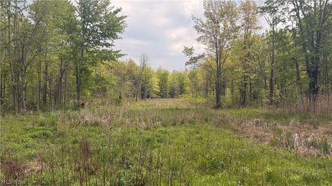 Vacant Land For Sale - Munson Hill Road<br/> Ashtabula County, Ashtabula, OH 44004