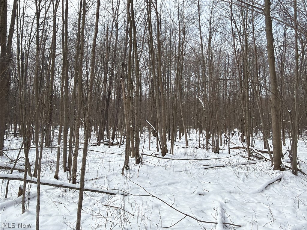 Munson Hill Road