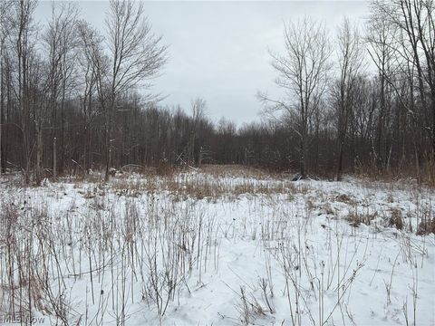 Vacant Land For Sale - Munson Hill Road<br/> Ashtabula County, Ashtabula, OH 44004
