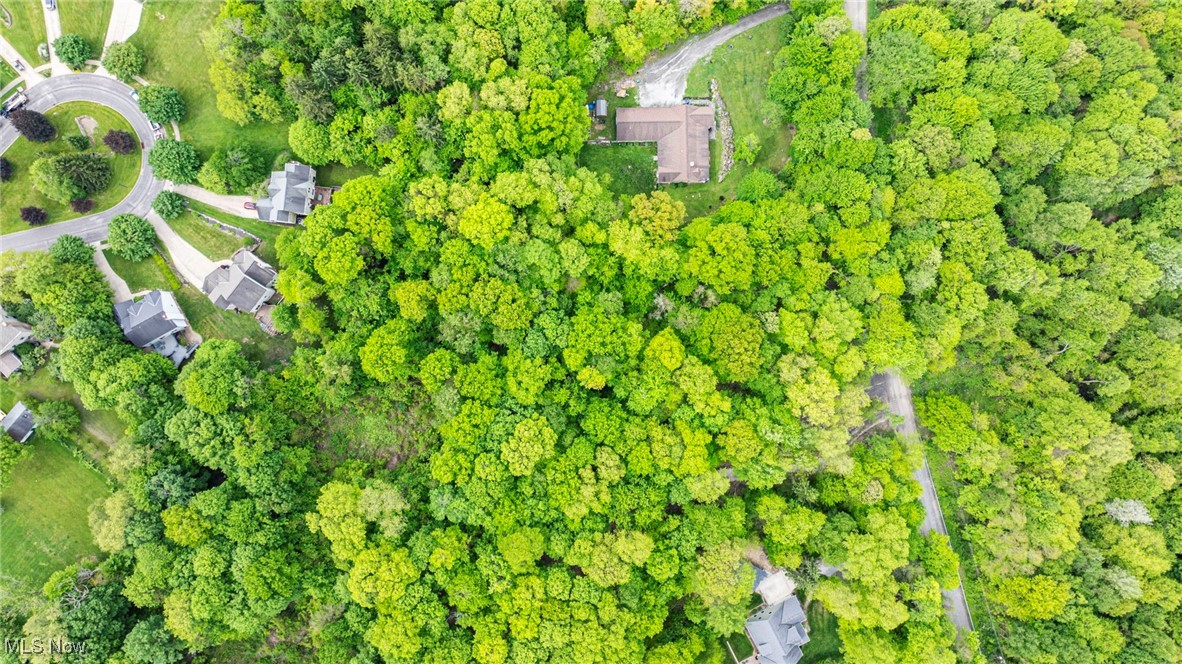13561 Colony Lane, Burton, Ohio image 3
