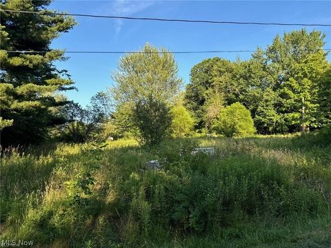 Vacant Land For Sale - 7425 Lisa Lane<br/> Columbiana County, Lisbon, OH 44432