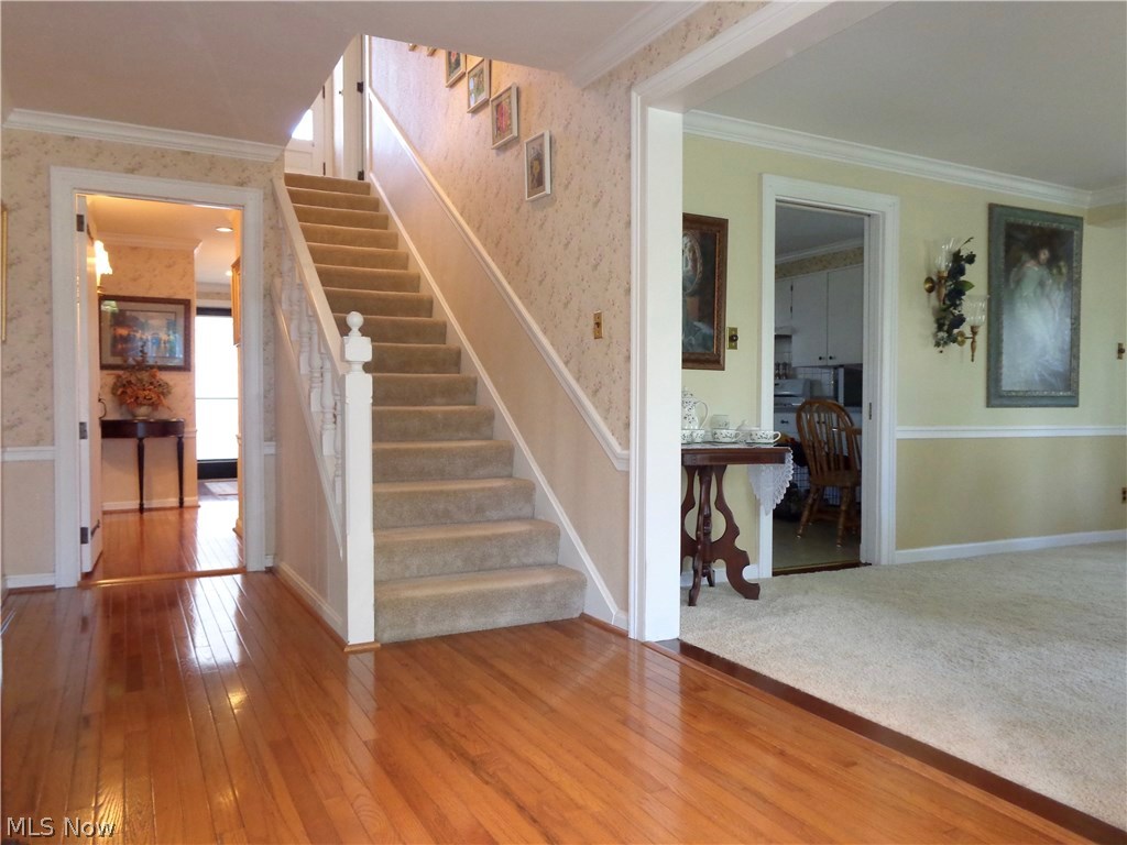 Forest Glen Estates - Residential