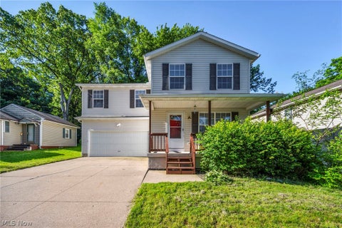 Homes For Sale - 196 Olivet Avenue<br/> Summit County, Akron, OH 44319