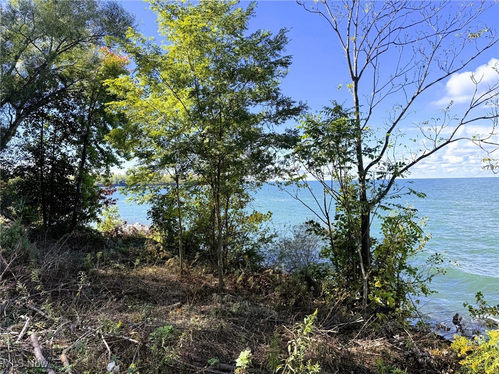 L Haldemans Resub - Land