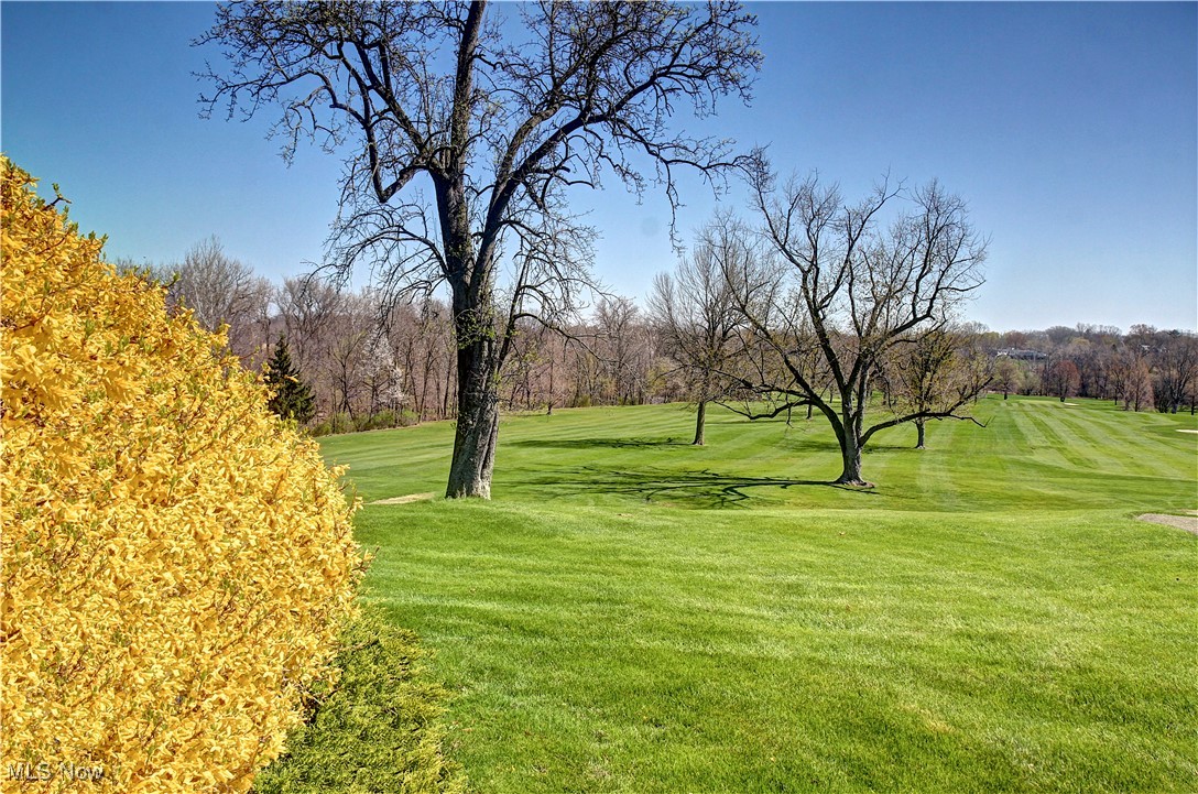 1207 W River Road, Elyria, Ohio image 22