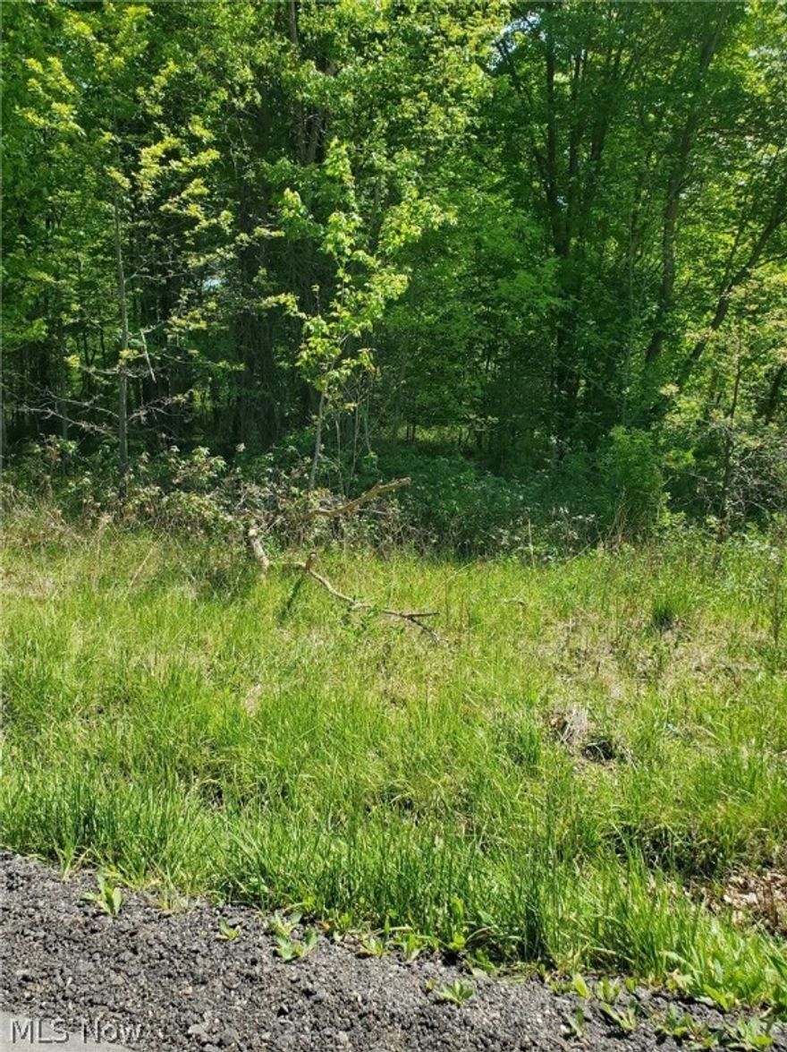 Vacant Land in Cortland.  1.57 Acres.  Wooded with a small creek running through.  Owner says tons of blackberries grow here!  Area is well and septic and electric  or propane.  Buyer should do due diligence in checking soil, etc if planning to build.
Mineral rights DO NOT transfer with property.