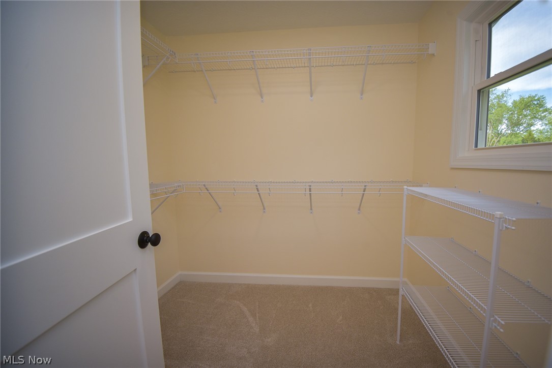 Willowdale - Residential