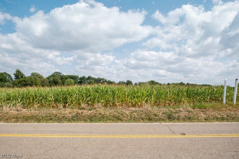 Vacant Land For Sale - Crystal Lake Avenue<br/> Stark County, Canal Fulton, OH 44614