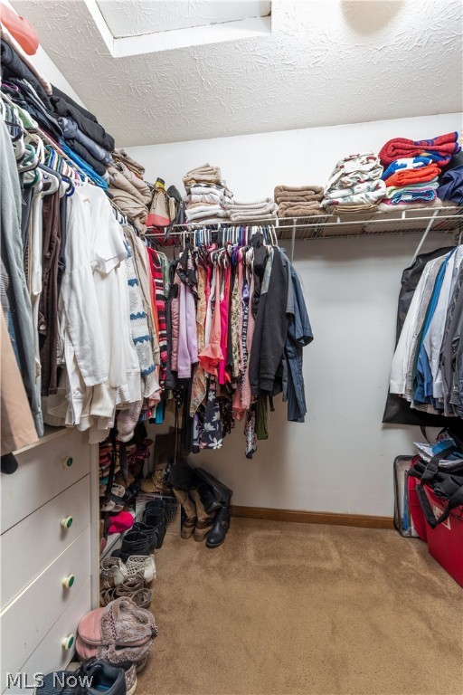 Fredl Allotment - Residential