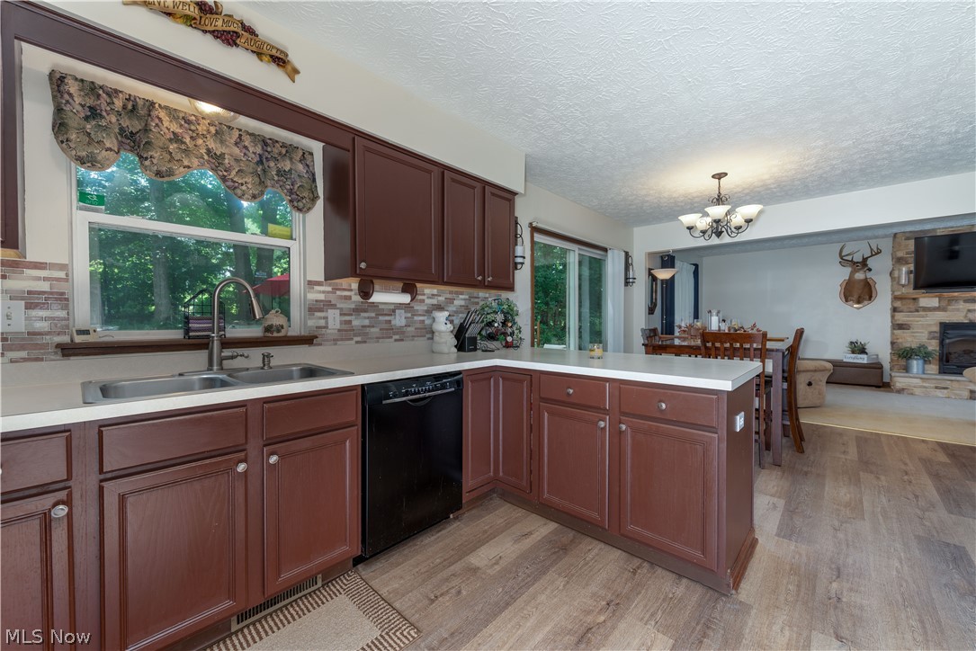 Fredl Allotment - Residential