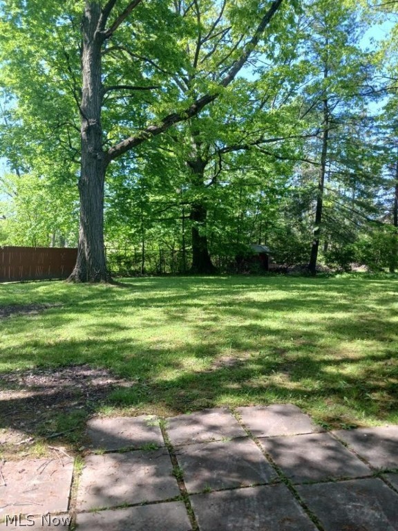 Original Austintown Township - Residential
