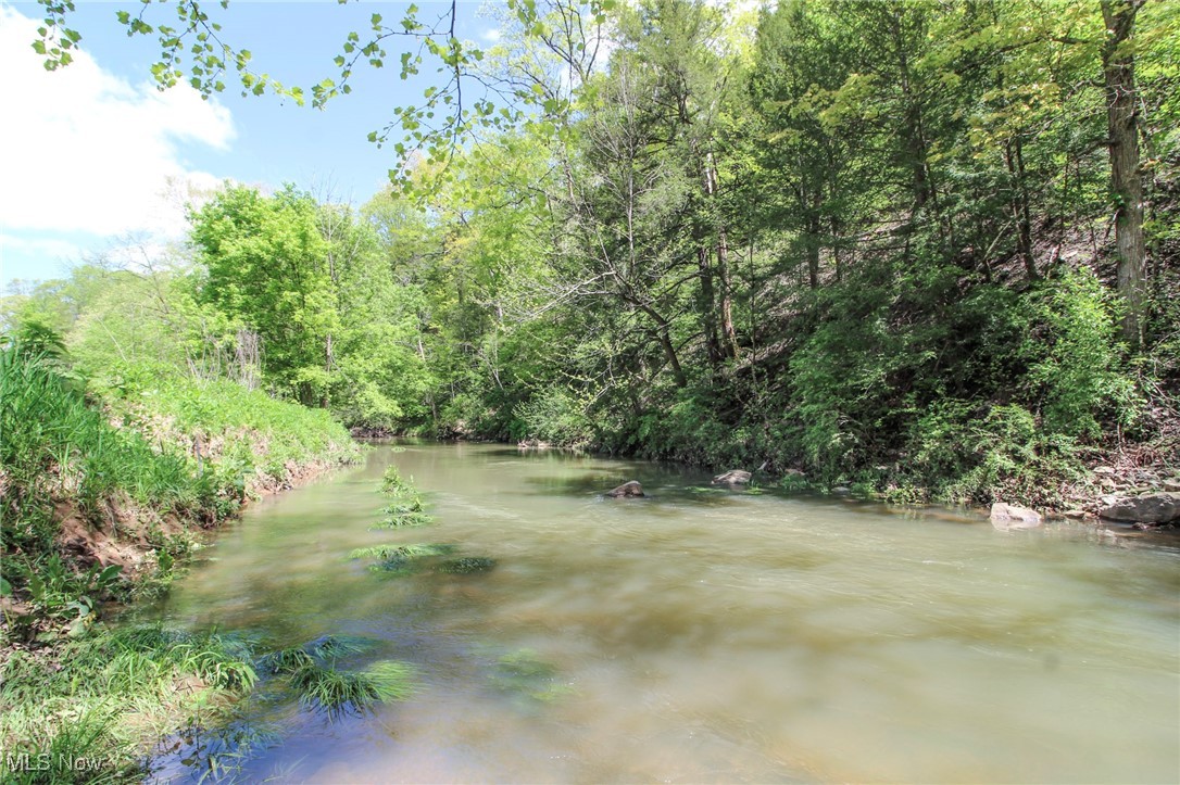 45247 W Union Road, Sardis, Ohio image 29
